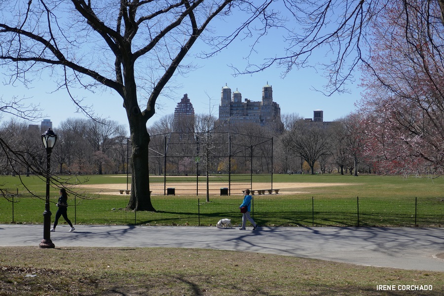 Nueva York para primerizos - Central Park